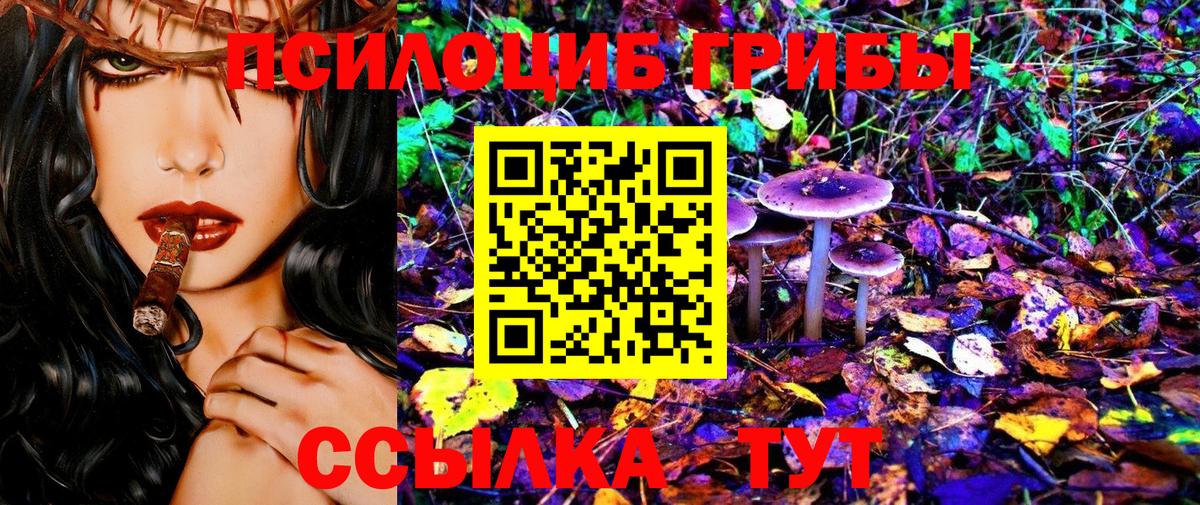 Галлюциногенные грибы GOLDEN TEACHER  Вход с VPN  Псилоцибиновые грибы Psilocybe  Верхняя Салда 